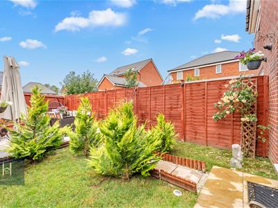 Picture 17